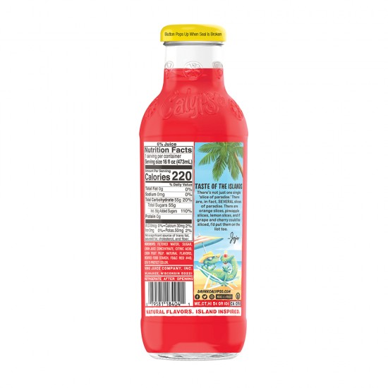 Calypso Paradise Punch Lemonade 473ml