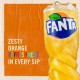 Fanta Orange 24x500ml (NI)