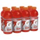 Gatorade Fruit Punch 591ml – Case 