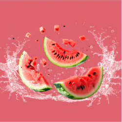 Mogu Mogu Watermelon with Nata de Coco 320ml - Case