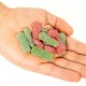 Sour Patch Kids Red & Green Theater Box